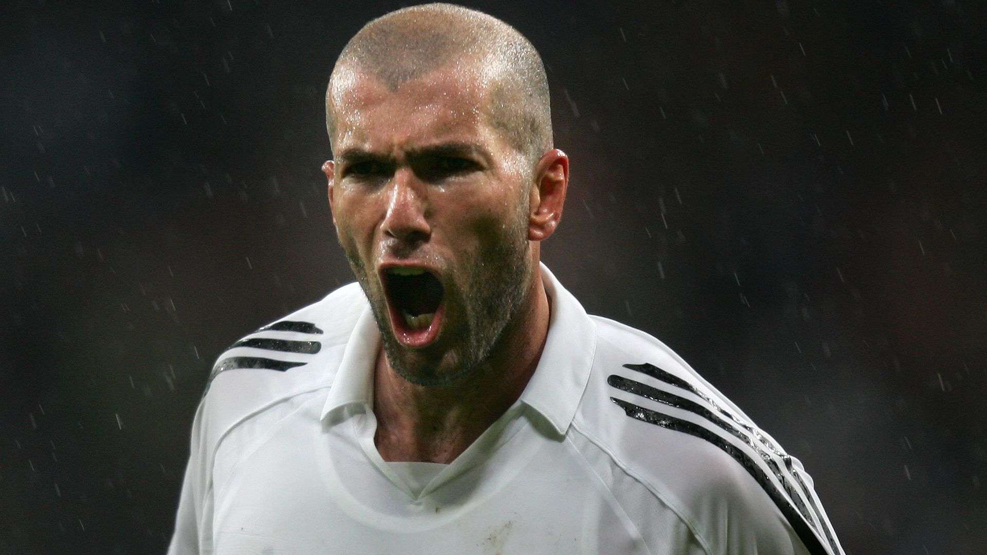 社交媒体的 社交媒体的