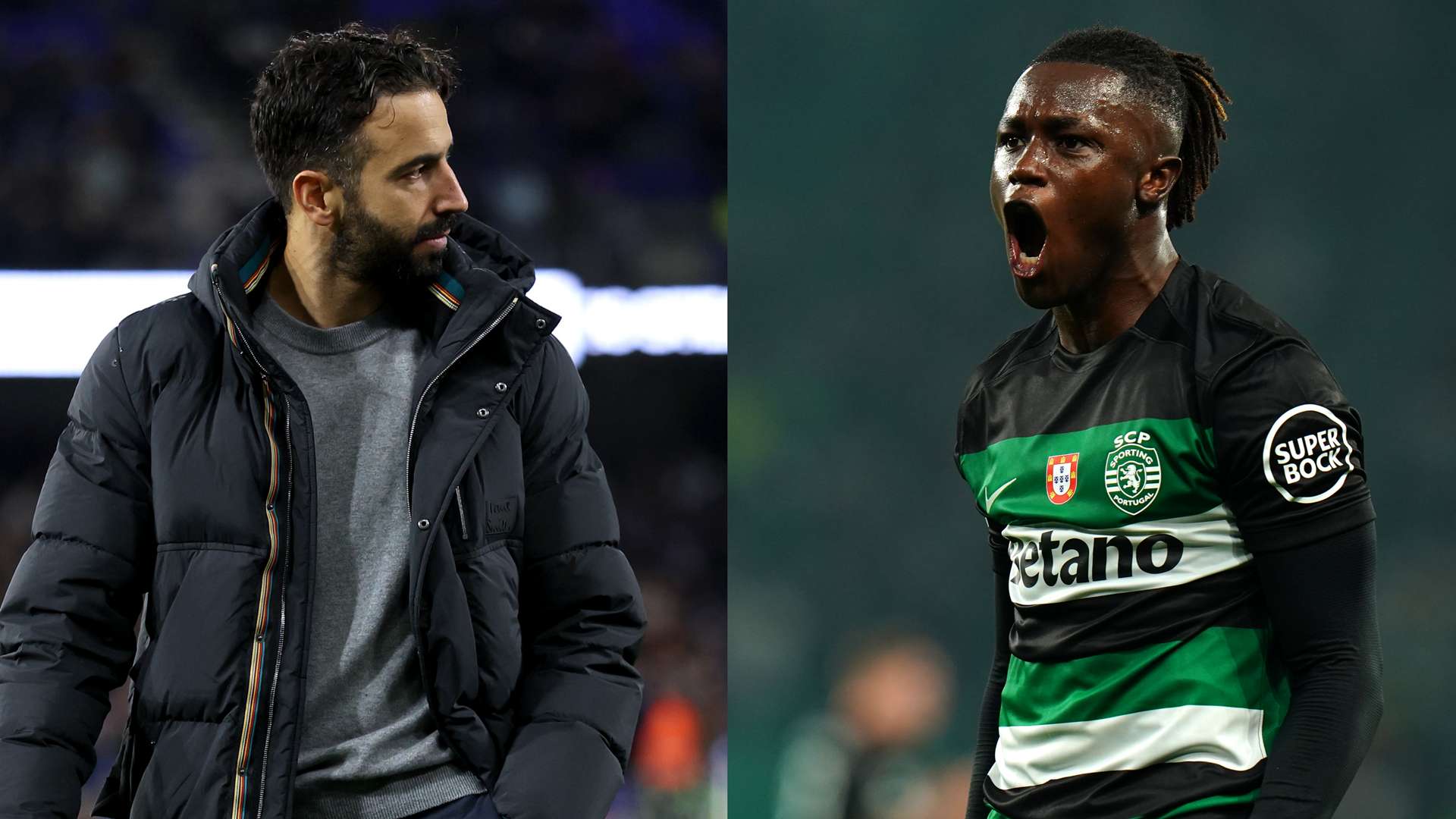 成为他们宝 成为他们宝