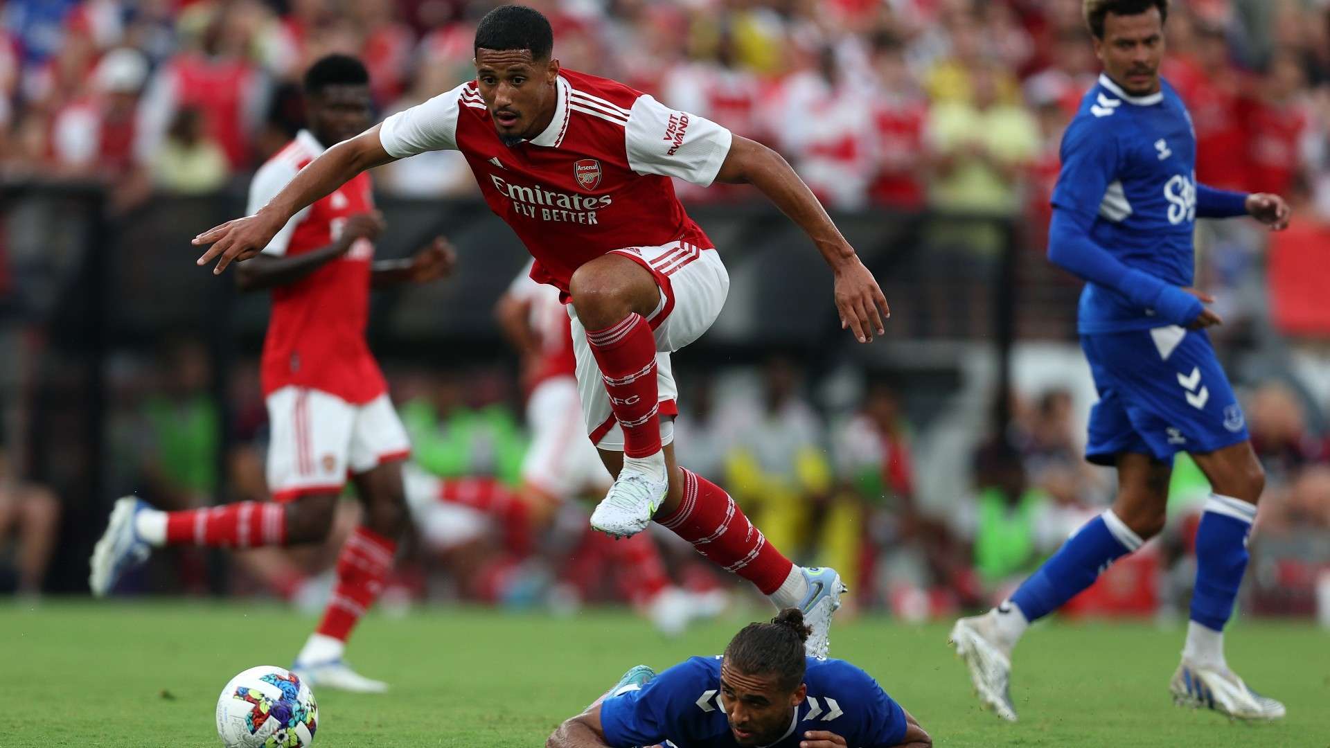 但要追赶梅 但要追赶梅